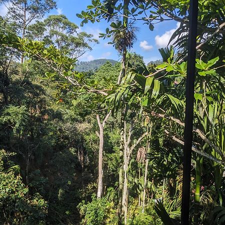 Ella Jungle Inn Homestay And Tree House エクステリア 写真