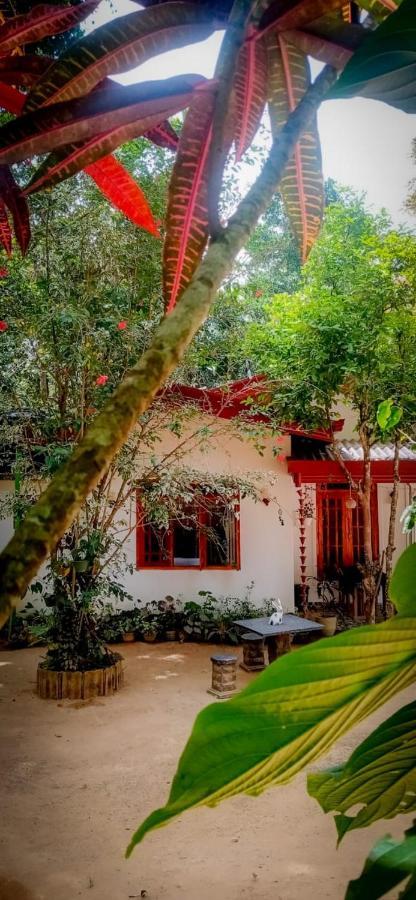 Ella Jungle Inn Homestay And Tree House エクステリア 写真