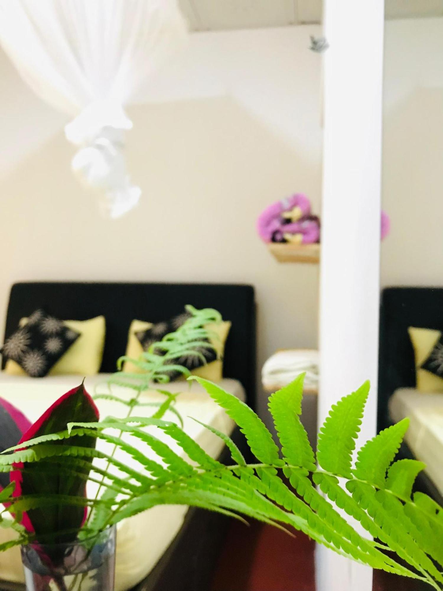 Ella Jungle Inn Homestay And Tree House エクステリア 写真
