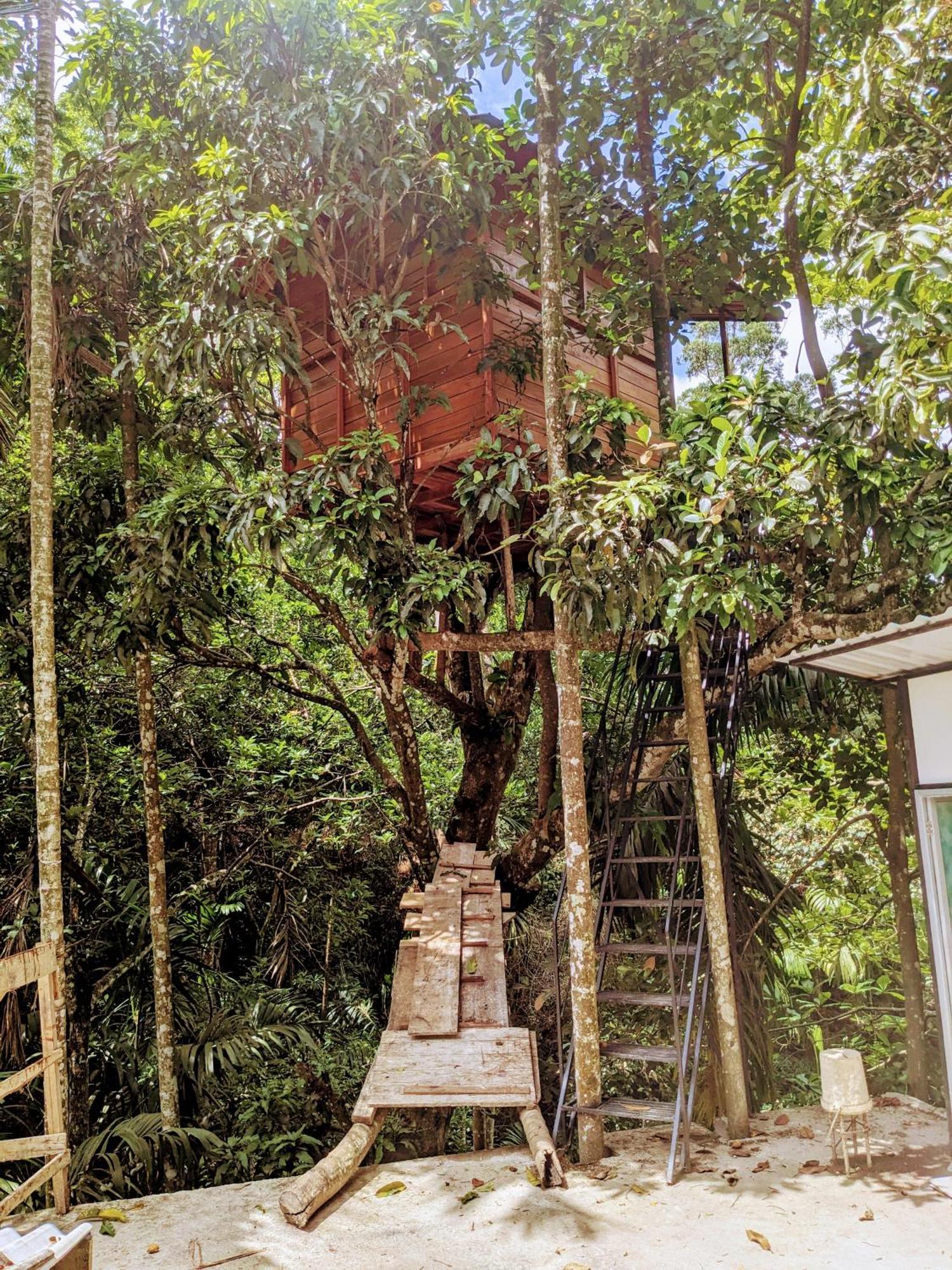 Ella Jungle Inn Homestay And Tree House エクステリア 写真