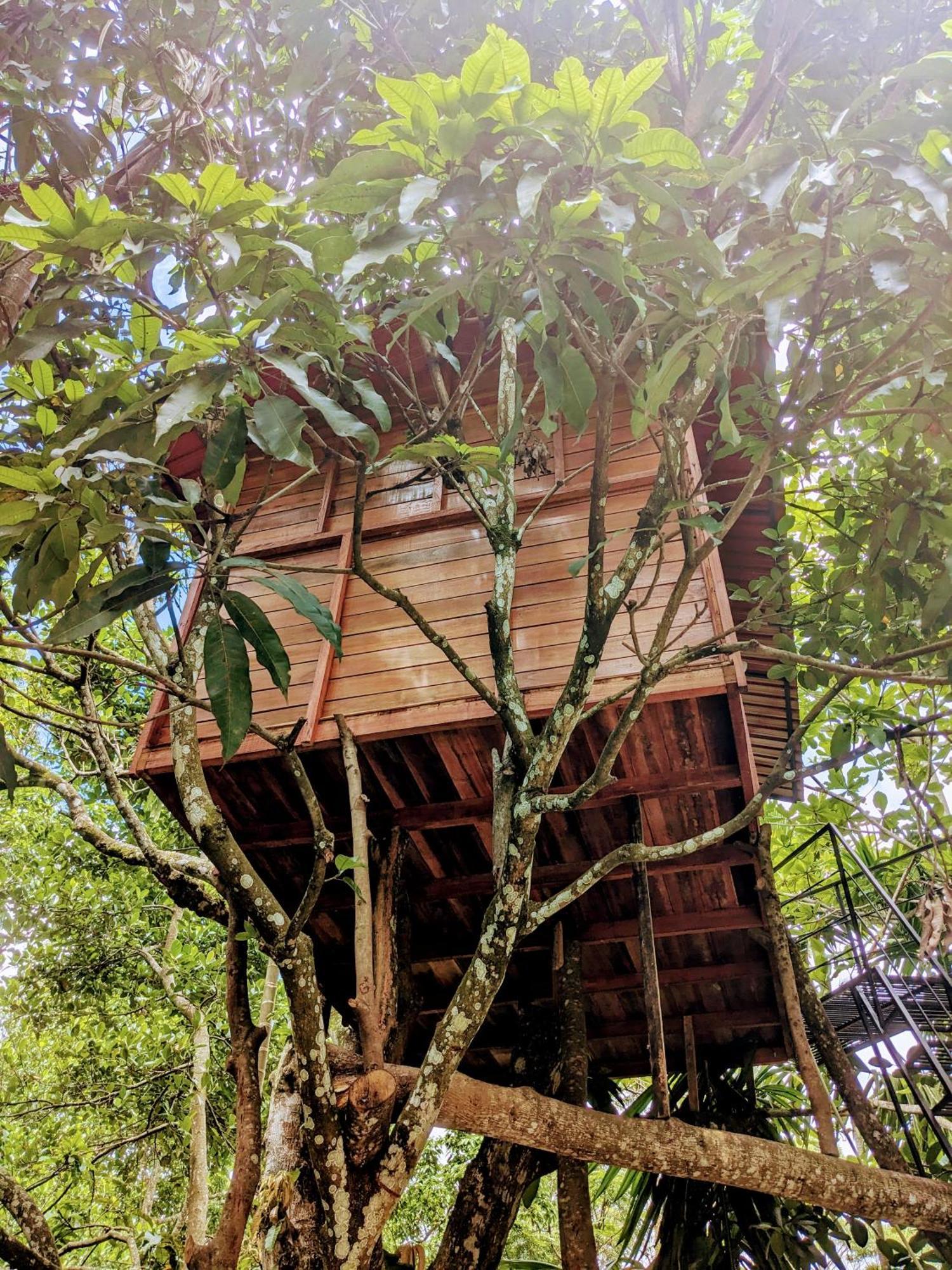 Ella Jungle Inn Homestay And Tree House エクステリア 写真