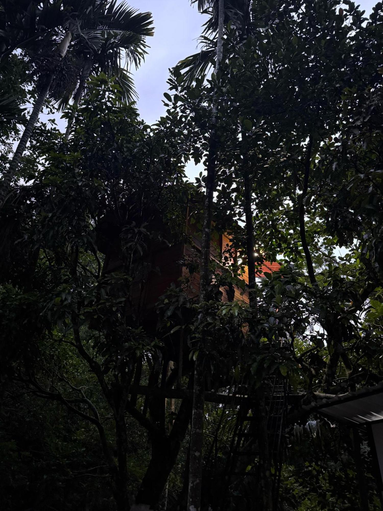 Ella Jungle Inn Homestay And Tree House エクステリア 写真